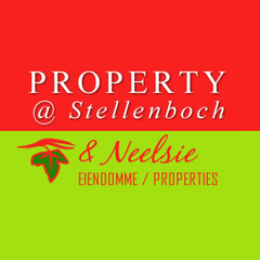 Neelsie Properties Image
